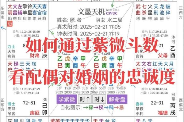 紫薇斗数配偶财富