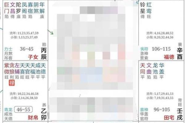 紫薇斗数配偶财富