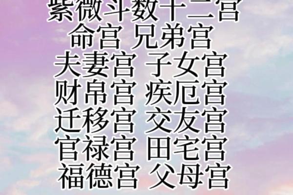 紫薇斗数代表小人