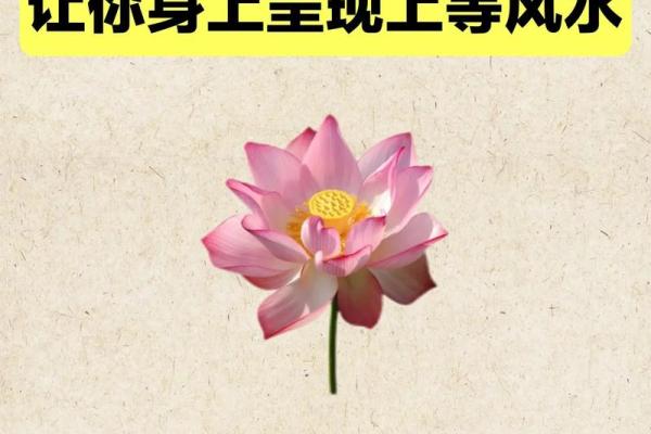玄关风水关乎家庭的运势 遇煞化解方法