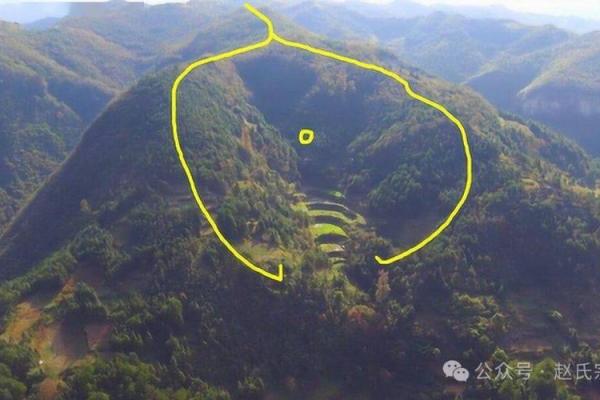 巧断墓地风水