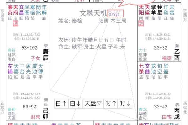 紫薇斗数成就
