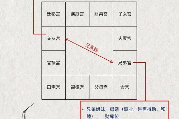 紫薇斗数成就