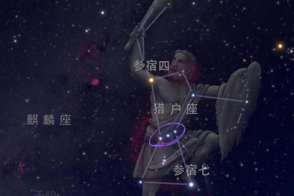 猎户座中最亮的星是哪颗星座