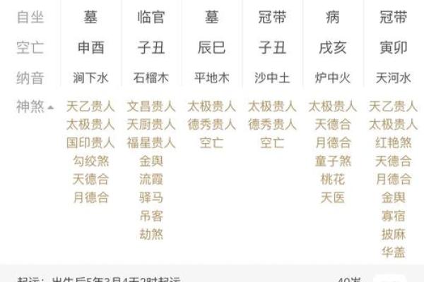 己亥生辰八字详解大全女命