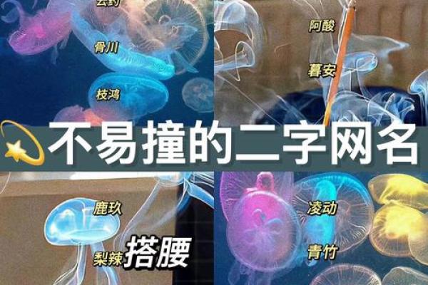 非主流八字id搭配大全，个性化八字id推荐，带有含义的八字id大全