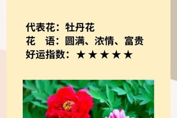 十二星座适合什么花最有灵性和灵感