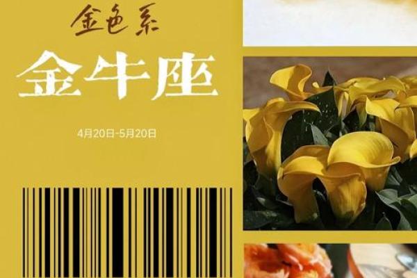 十二星座适合什么花最有灵性和灵感