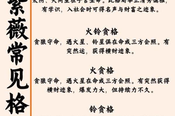 紫薇斗数事业成就