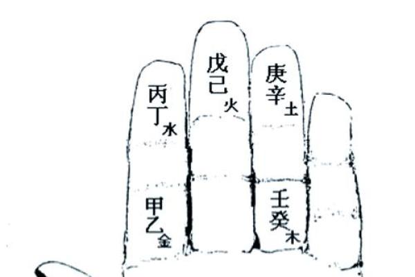 紫薇斗数掌中决