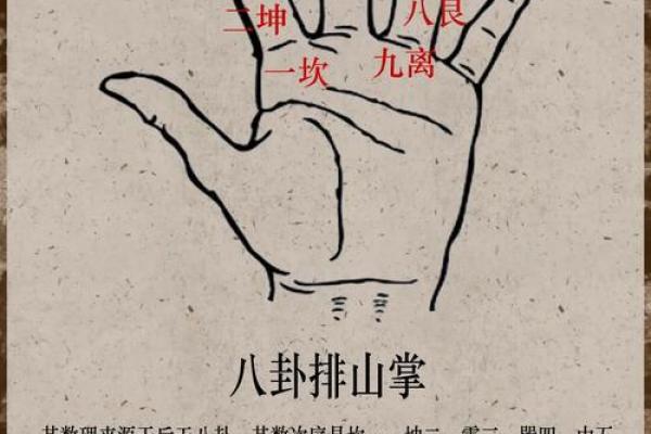 紫薇斗数掌中决