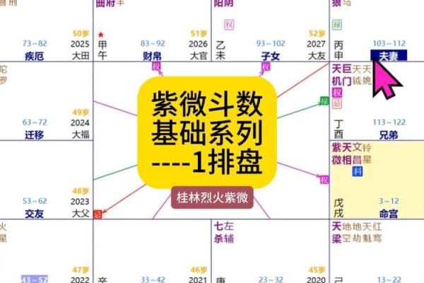 紫薇斗数外国人