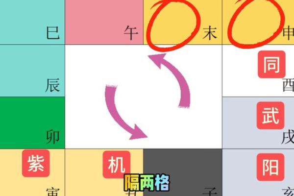 紫薇斗数看每日流盘