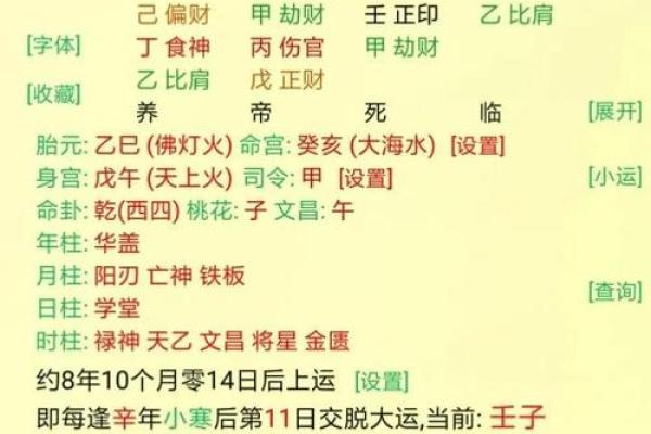 八字用神喜神闲神仇神忌神解释