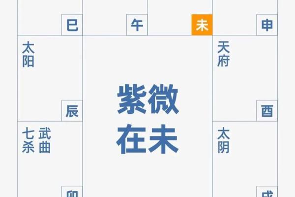 成龙紫薇斗数
