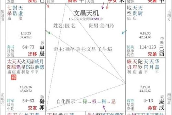 成龙紫薇斗数