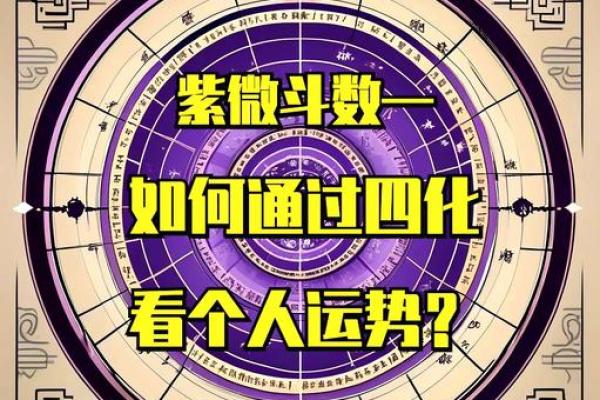 紫微斗数之四化飞星活盘运用 紫微斗数之四化飞星活盘运用