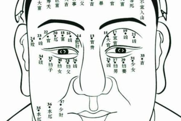 川字纹手相算命图解