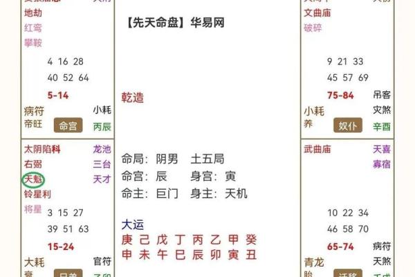 紫薇斗数性质