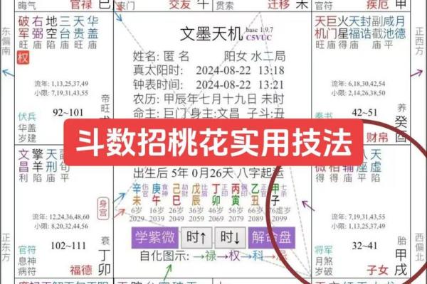 紫微斗数能量组合 紫薇斗数看你的潜能？