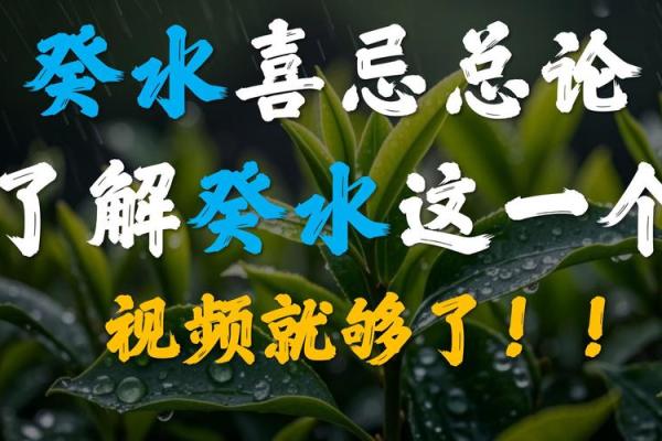 八字喜用神癸水