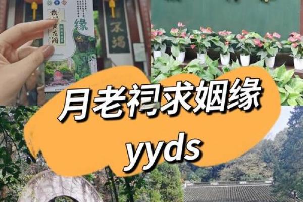月老51签姻缘太准了吧 月老灵签第51签求姻缘白话文？