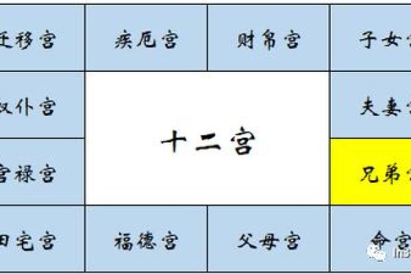 紫微斗数诸星落诸宫之：天府星兄弟宫详解