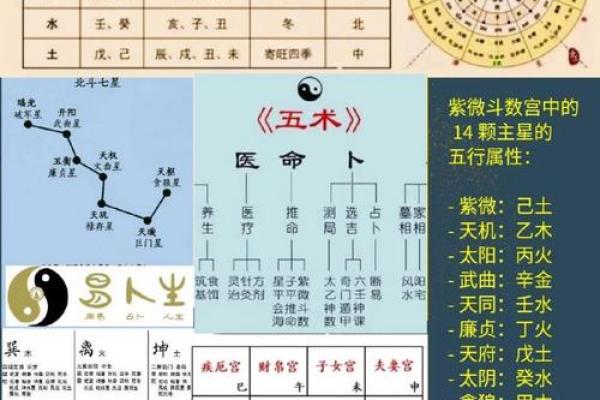紫微斗数之各星曜所主行业:测本人能否选举上? 紫微斗数之各星曜所主行业:测本人能否选举上?