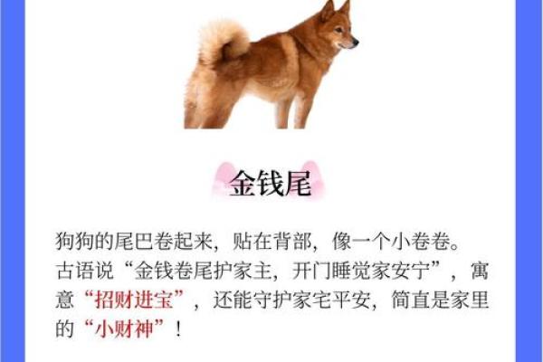 以下品种什么样的狗旺财风水