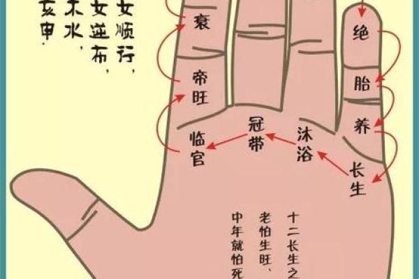 手掌印算命