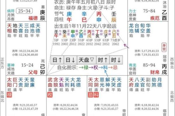 倪海厦天纪紫薇斗数排盘