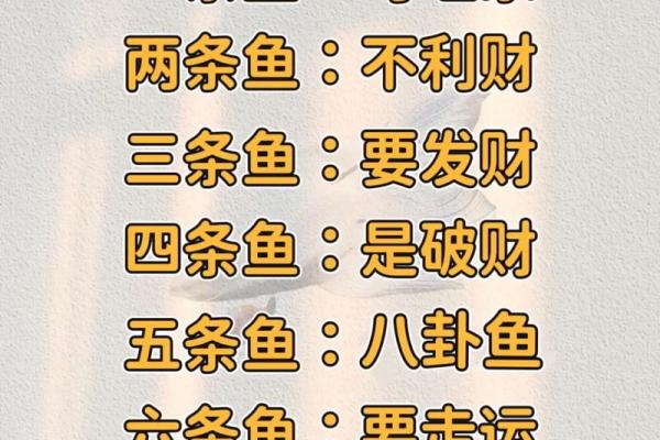 养风水鱼有什么讲究？