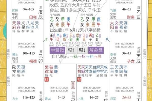 什么样的八字才算是紫薇星命