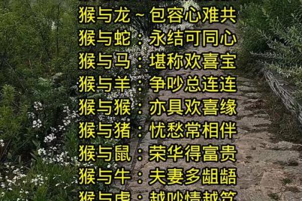 姻缘配对算命超准免费 姻缘算命网？